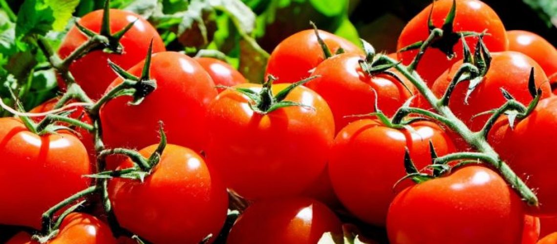tomatoes-1280859_1280-700x460